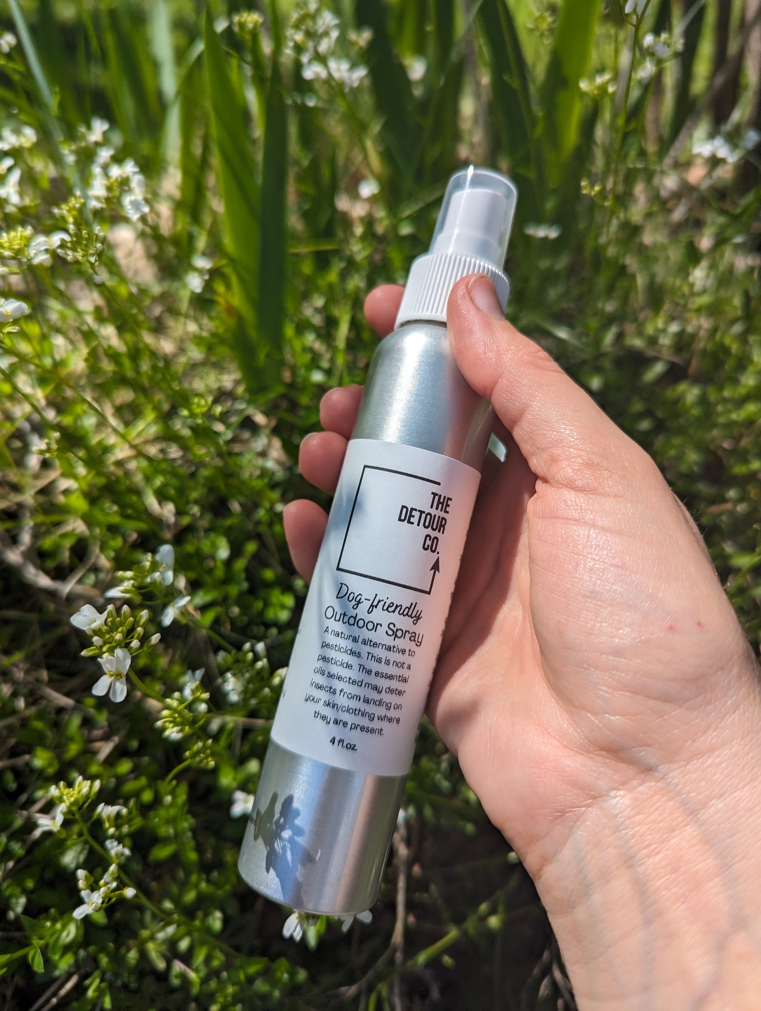 Dog friendly bug spray cheap